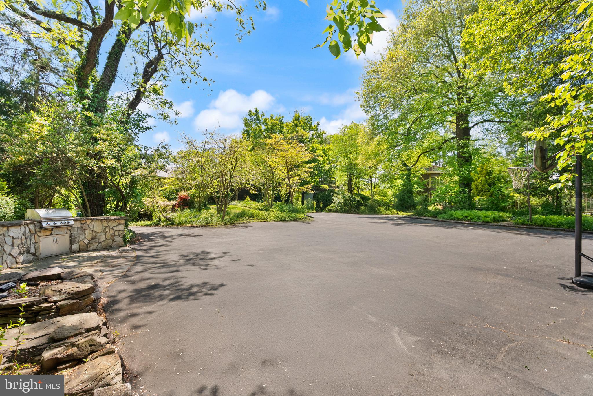1608 Chain Bridge Road McLean, VA 22101 - Photo 13 of 30 a view of a yard with potted plants and large trees