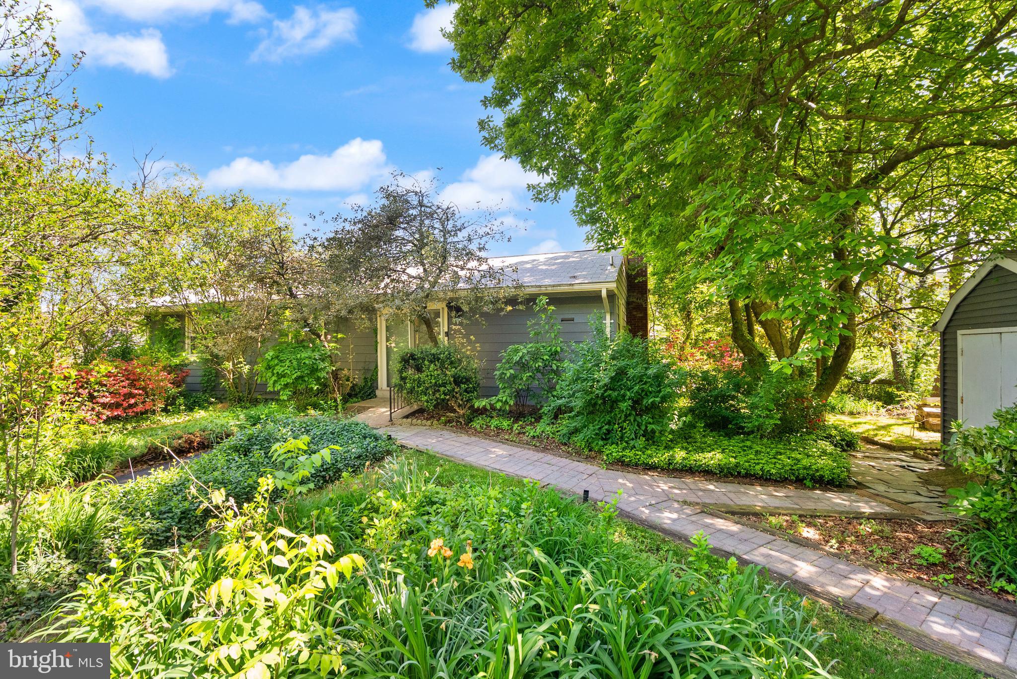 1608 Chain Bridge Road McLean, VA 22101 - Photo 8 of 30 a view of a garden with plants and large trees