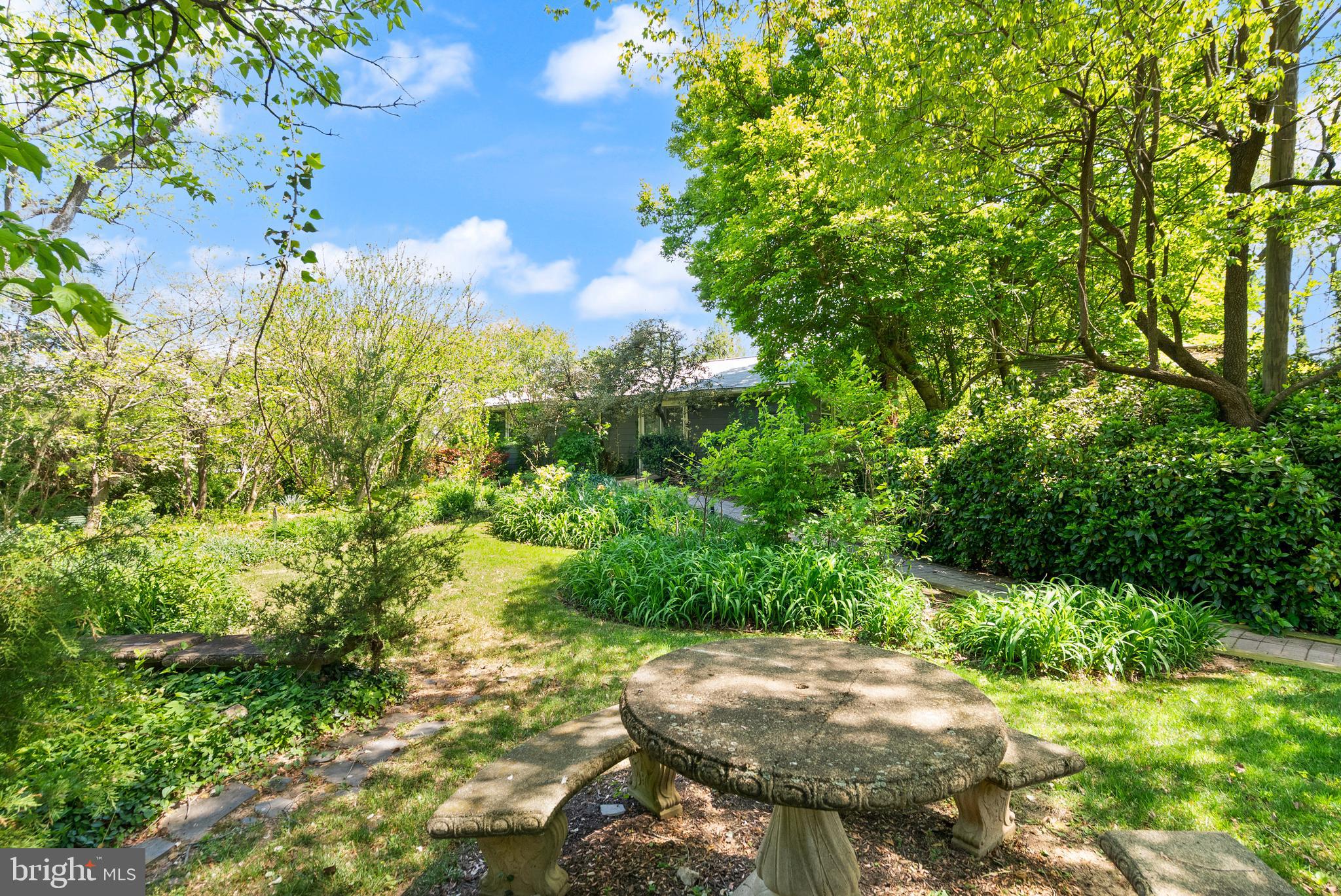 1608 Chain Bridge Road McLean, VA 22101 - Photo 9 of 30 a view of a yard with plants and large trees