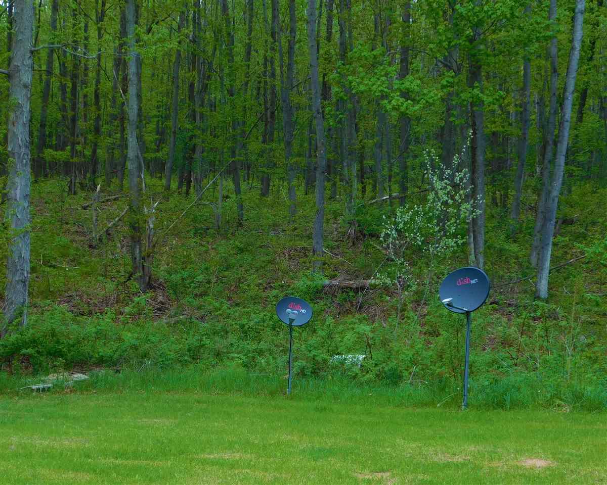 19011 Lagerquist Road Brethren, MI 49619 - Photo 7 of 21 1800364-6.JPG