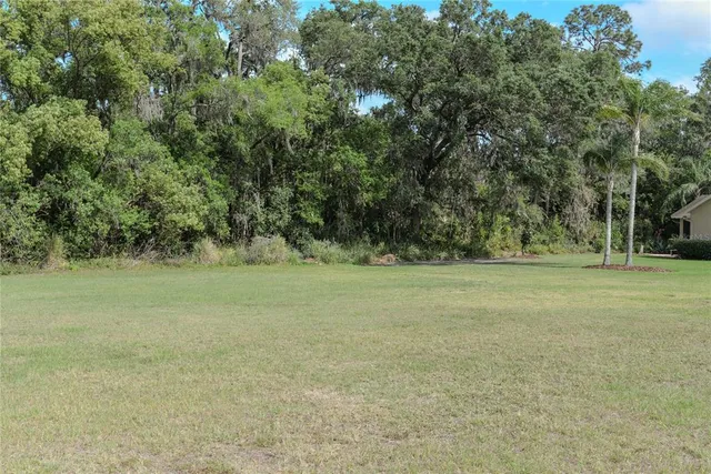 a view of outdoor space and yard