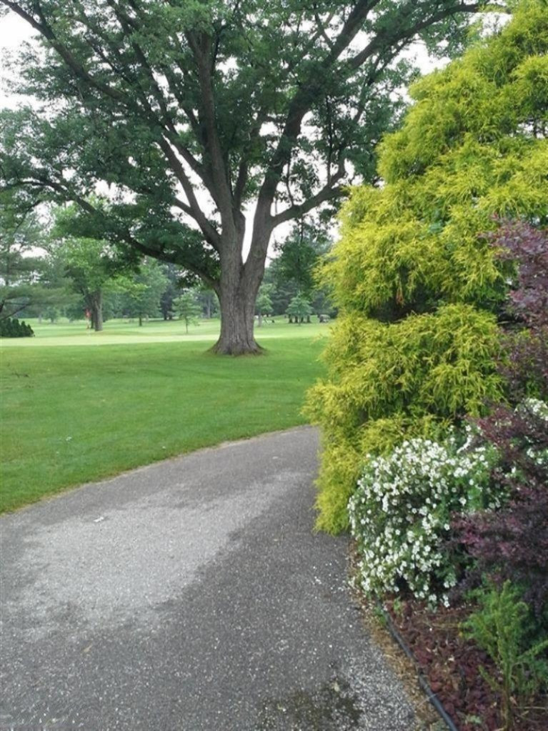 9785 Jericho Road Bridgman, MI 49106 - Photo 20 of 21 Additional Photo