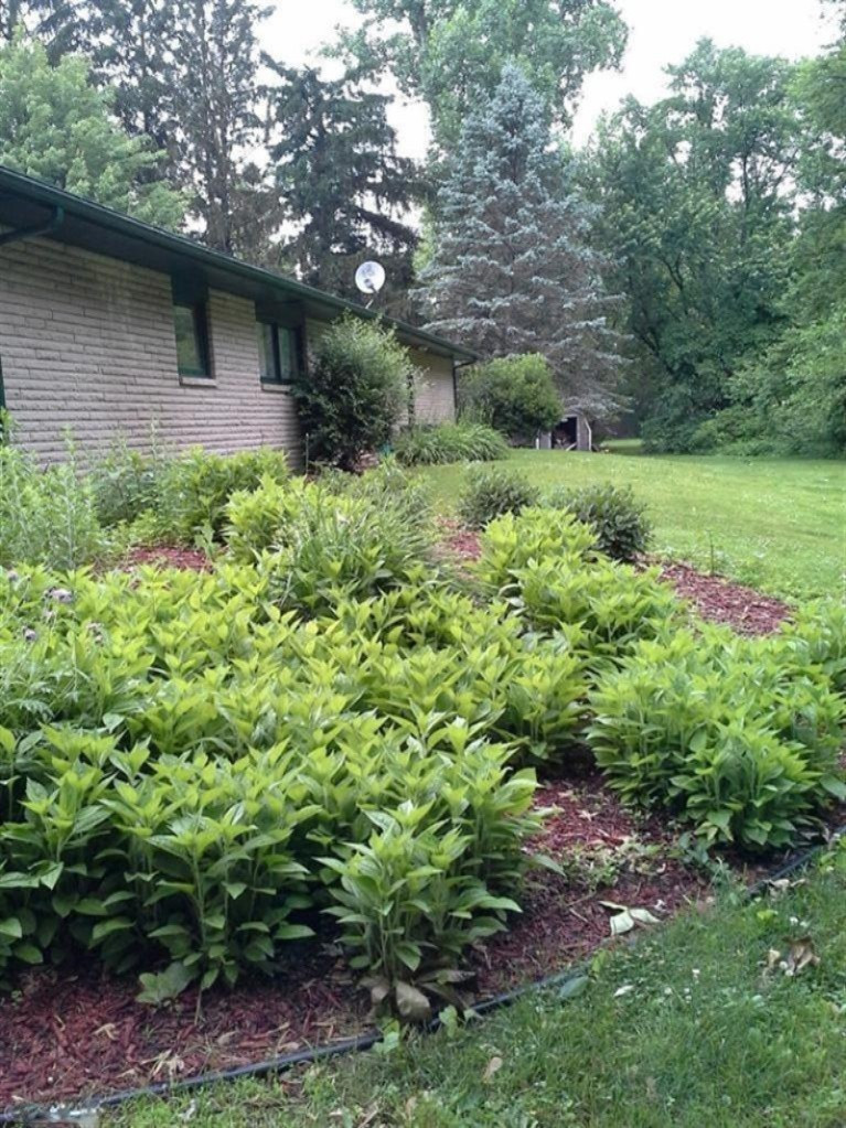 9785 Jericho Road Bridgman, MI 49106 - Photo 5 of 21 Additional Photo