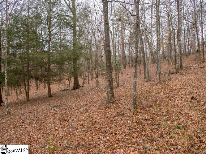 Moody Bridge Road Cleveland, SC 29635 - Photo 11 of 24 Gallery Image 11