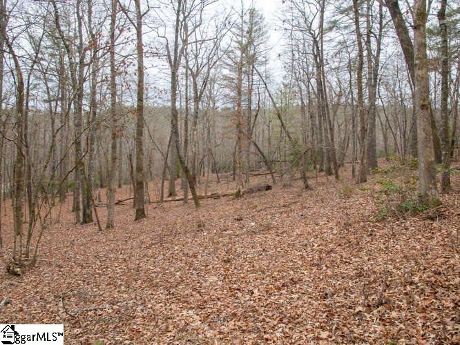 Moody Bridge Road Cleveland, SC 29635 - Photo 12 of 24 Gallery Image 12