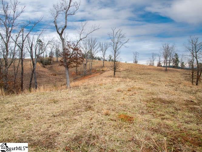 Moody Bridge Road Cleveland, SC 29635 - Photo 17 of 24 Gallery Image 17