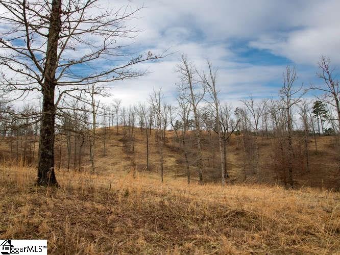 Moody Bridge Road Cleveland, SC 29635 - Photo 20 of 24 Gallery Image 20