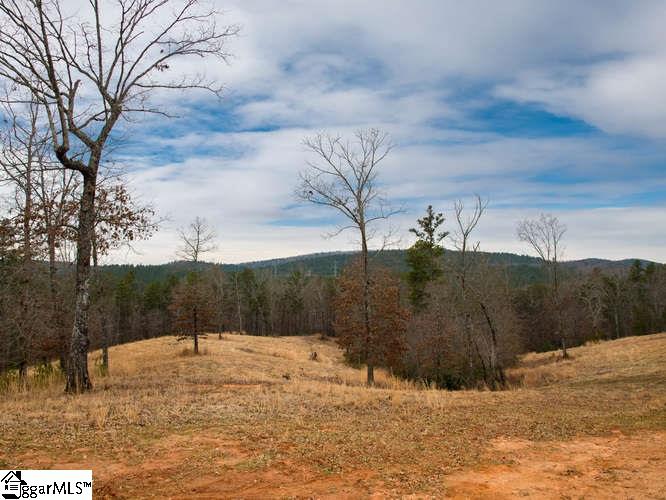 Moody Bridge Road Cleveland, SC 29635 - Photo 21 of 24 Gallery Image 21