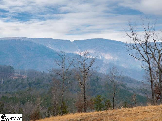Moody Bridge Road Cleveland, SC 29635 - Photo 6 of 24 Gallery Image 6