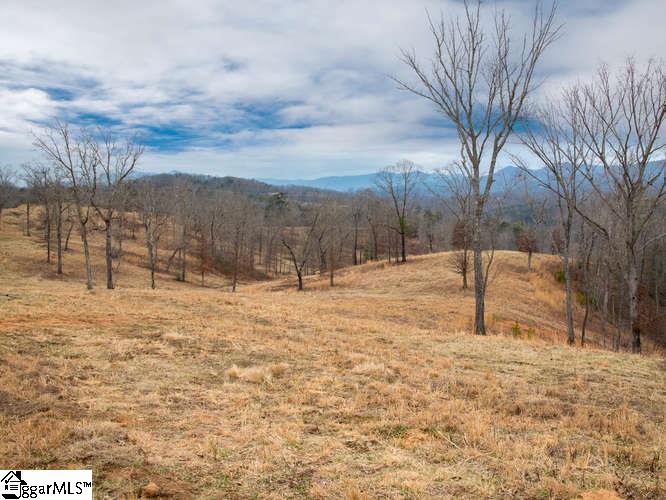 Moody Bridge Road Cleveland, SC 29635 - Photo 8 of 24 Gallery Image 8