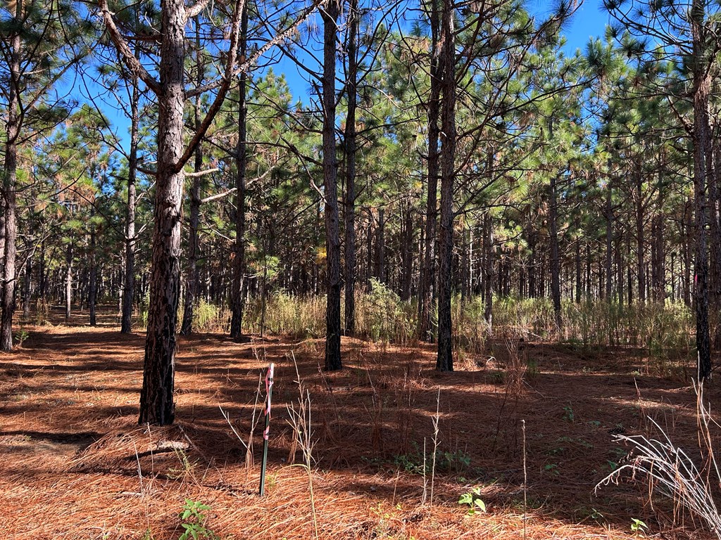 140/ Cty Road Headland, AL 36345 - Photo 27 of 33