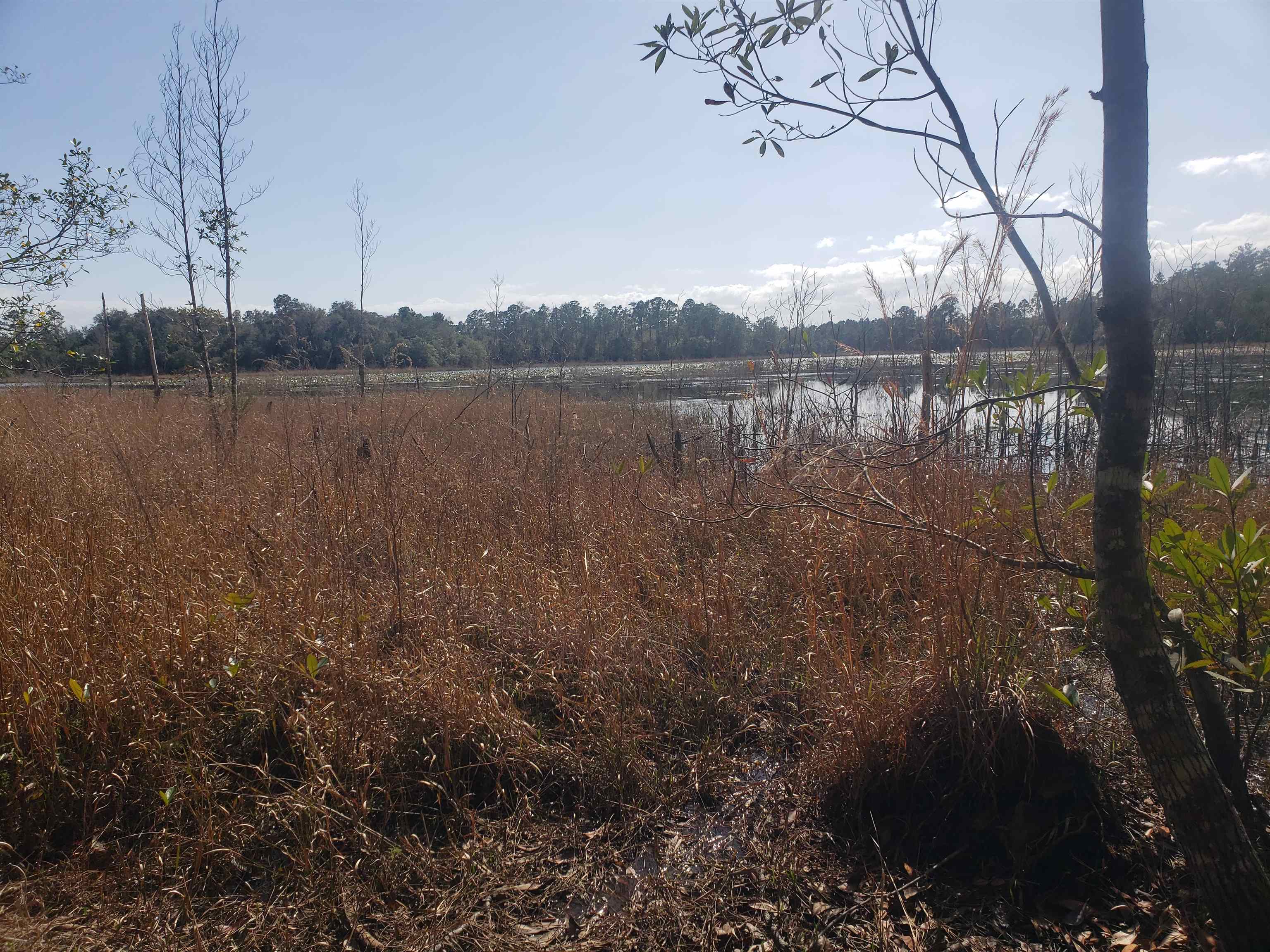 0 Clear Lake Road Crescent City, FL 32112 - Photo 2 of 10 Gallery Image 2