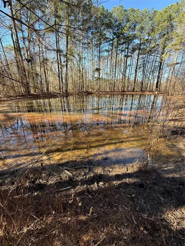 a view of a yard with large trees