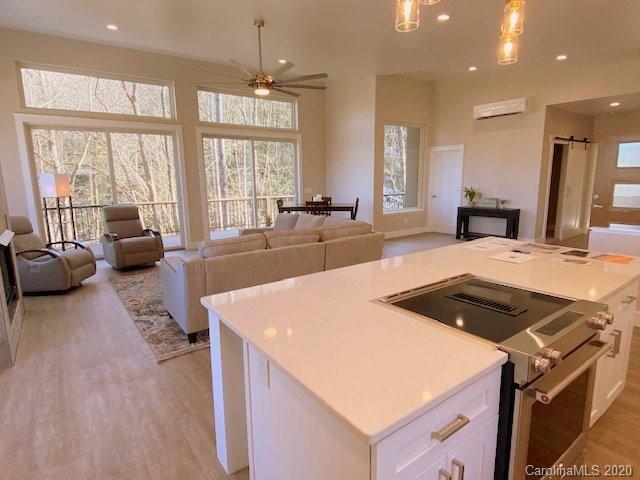 119 Country Ridge Road Laurel Park, NC 28739 - Photo 8 of 24 Gallery Image 8