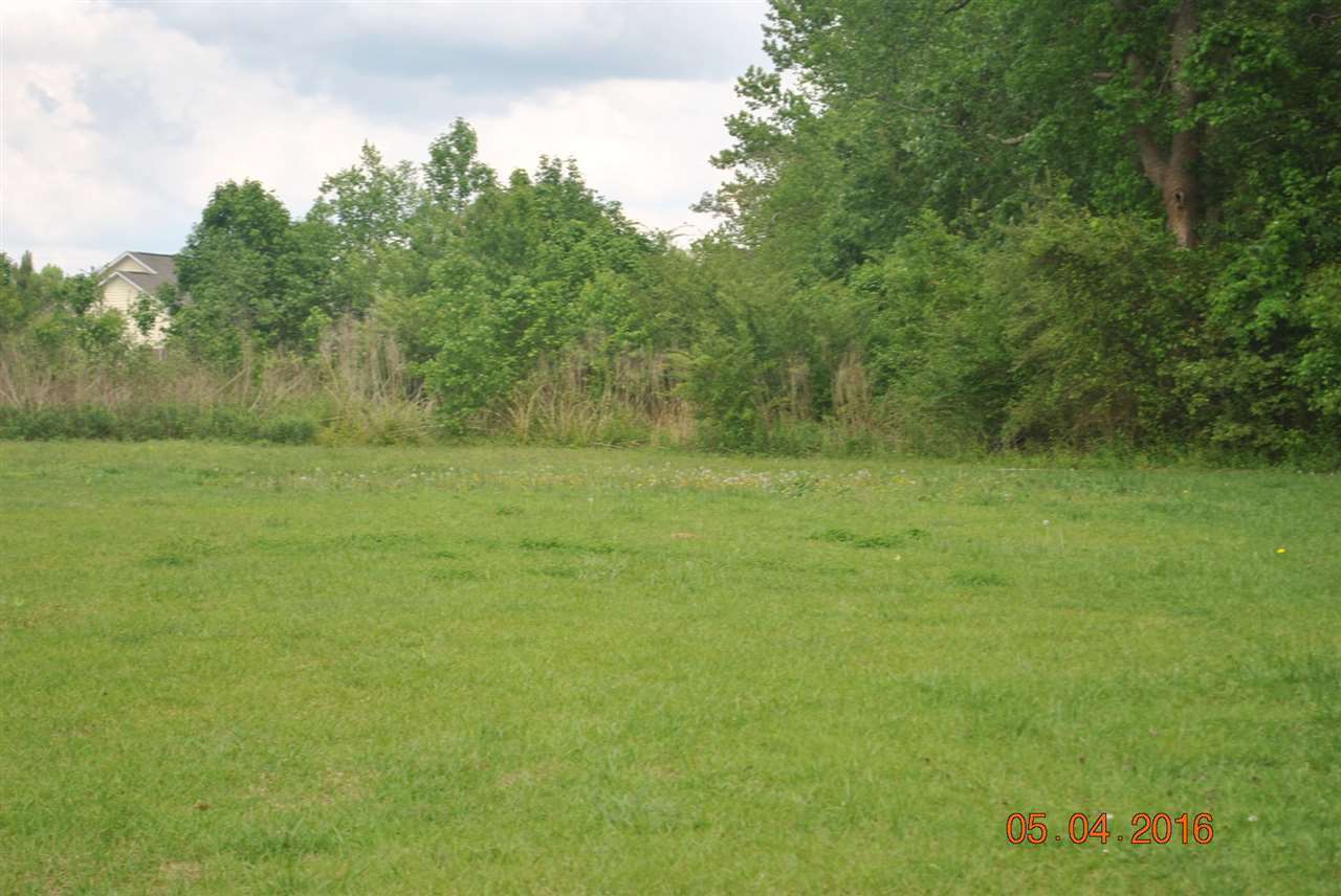 513 Southwest Ridge Drive Richlands, NC 28574 - Photo 5 of 20 Additional Photo