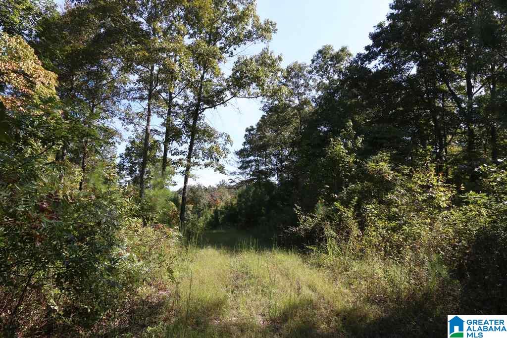 Sprayberry Road, Unit 103 Cropwell, AL 35054 - Photo 21 of 48