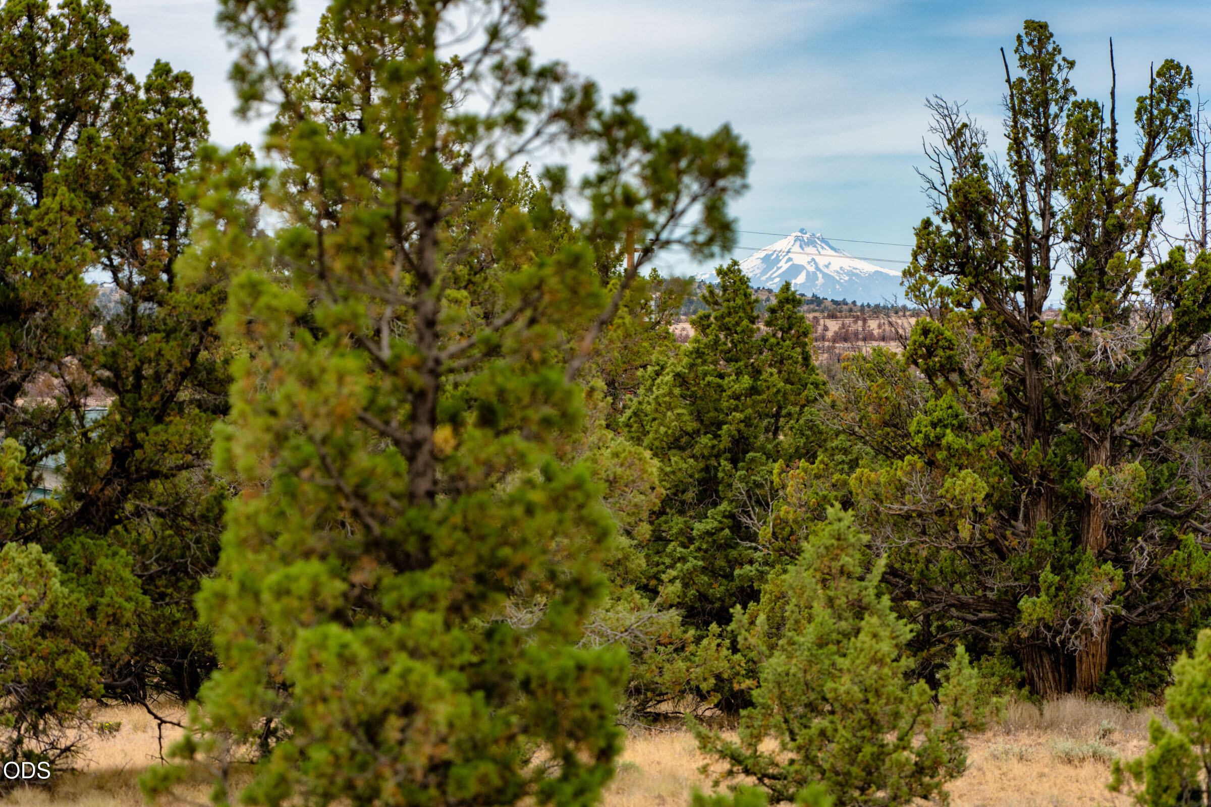 10388 Ridgeview Road Prineville, OR 97754 - Photo 9 of 27