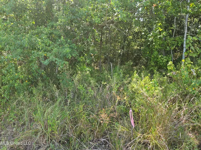 $74,990 | 0 Highway 49 Gulfport Ms 39501, Gulfport, MS 39501