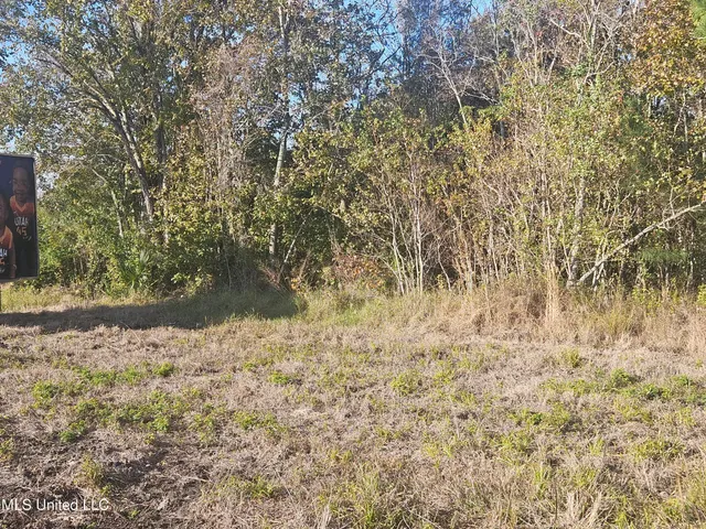 $74,990 | 0 Highway 49 Gulfport Ms 39501, Gulfport, MS 39501
