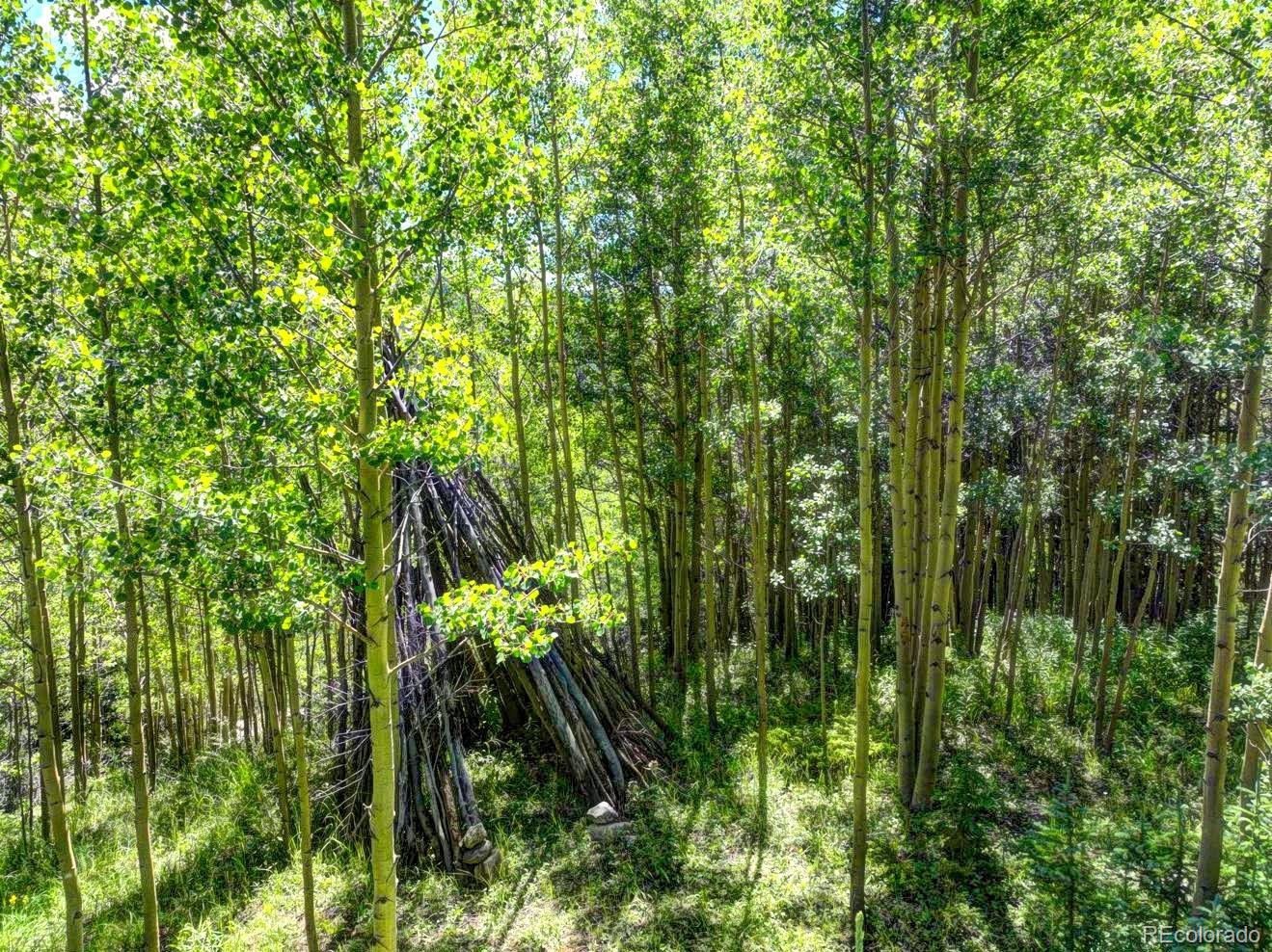 777 Roberts Road Alma, CO 80420 - Photo 13 of 40 Gallery Image 13