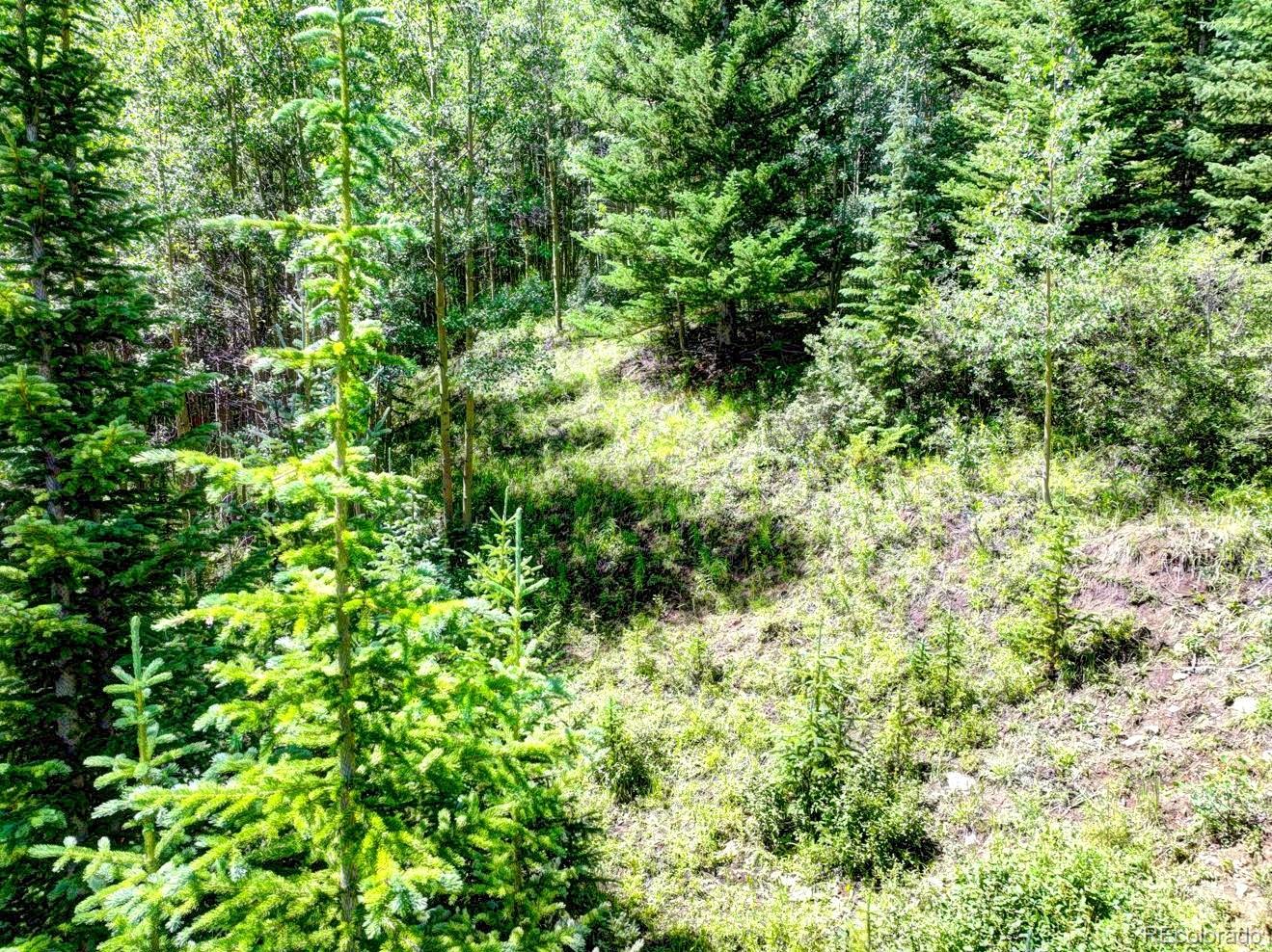 777 Roberts Road Alma, CO 80420 - Photo 15 of 40 Gallery Image 15