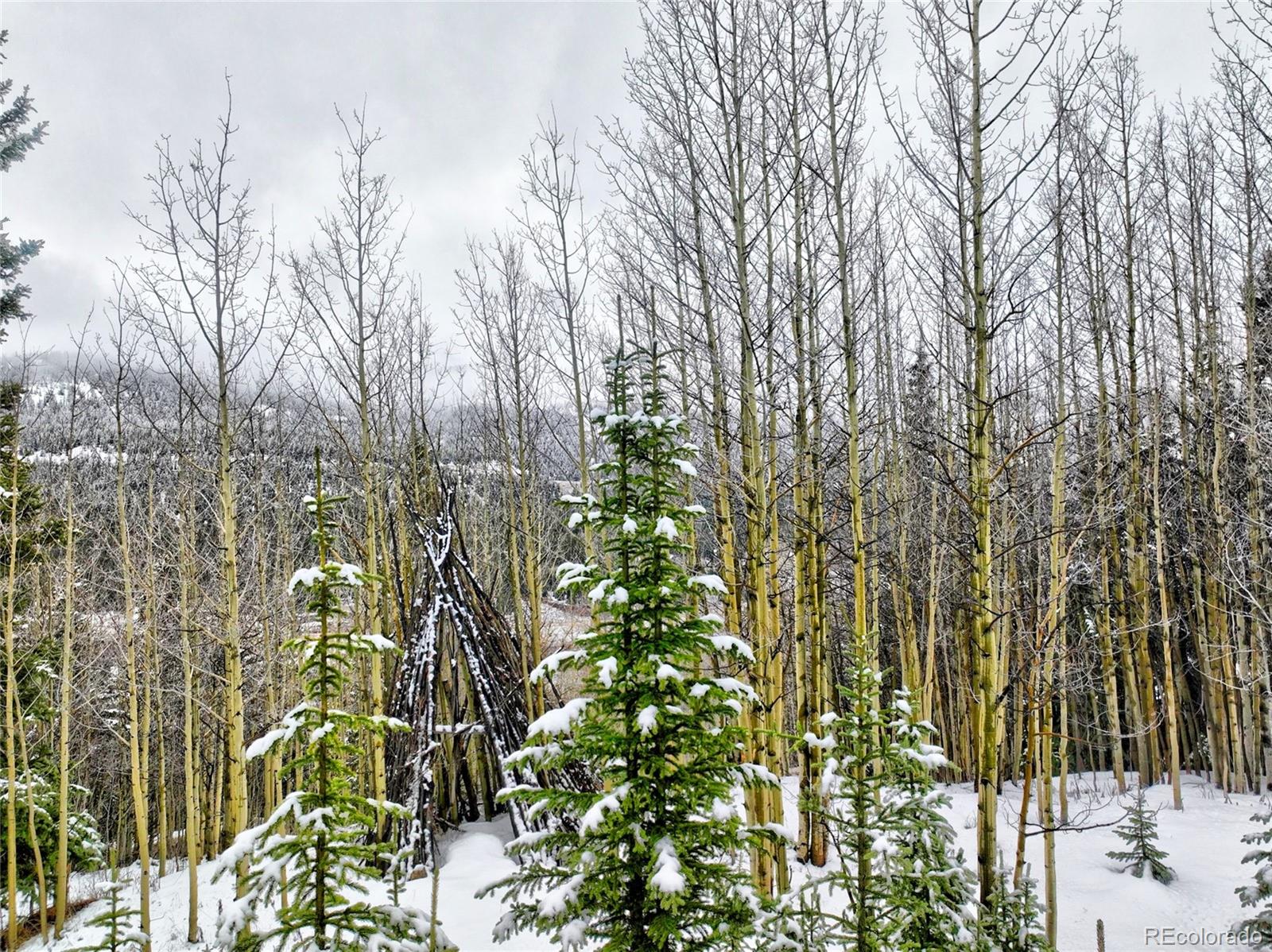 777 Roberts Road Alma, CO 80420 - Photo 35 of 40 Gallery Image 35