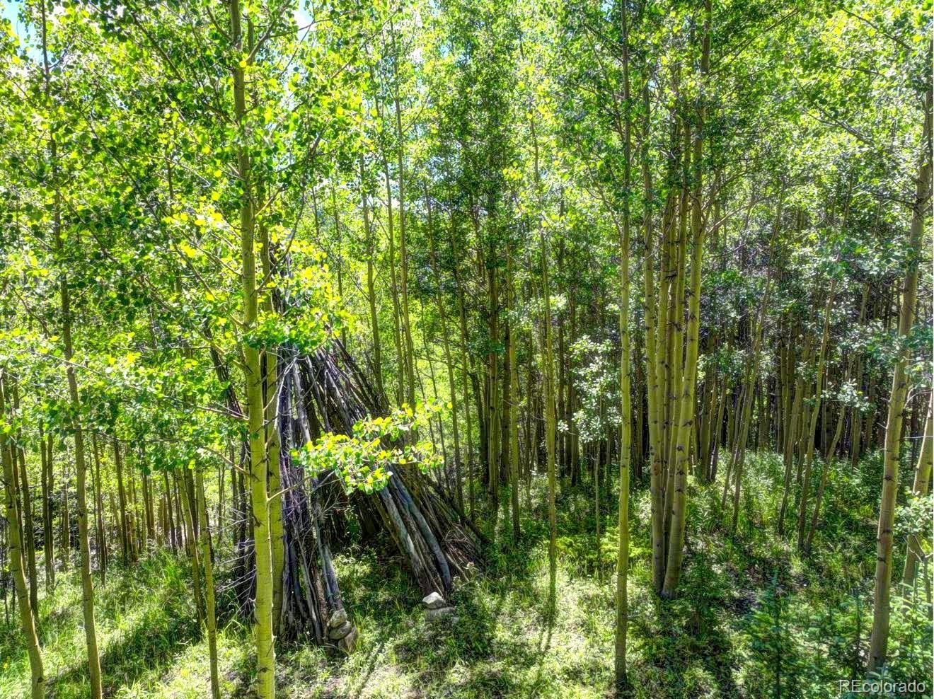 777 Roberts Road Alma, CO 80420 - Photo 4 of 40 Gallery Image 4