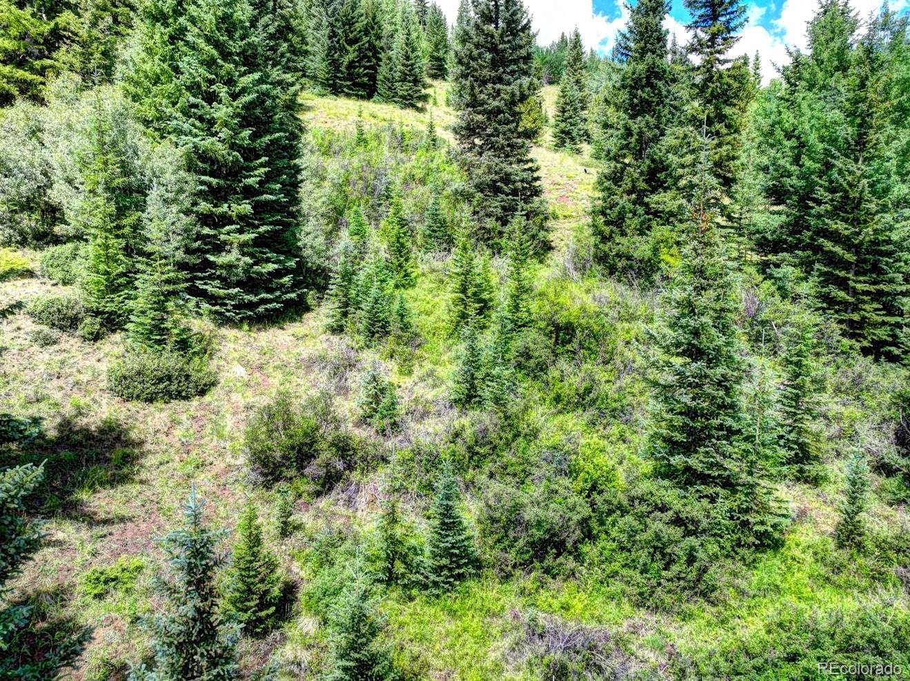 777 Roberts Road Alma, CO 80420 - Photo 5 of 40 Gallery Image 5