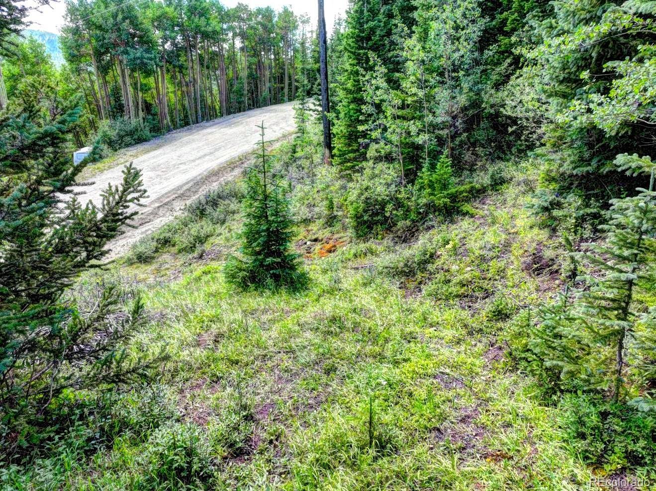 777 Roberts Road Alma, CO 80420 - Photo 6 of 40 Gallery Image 6