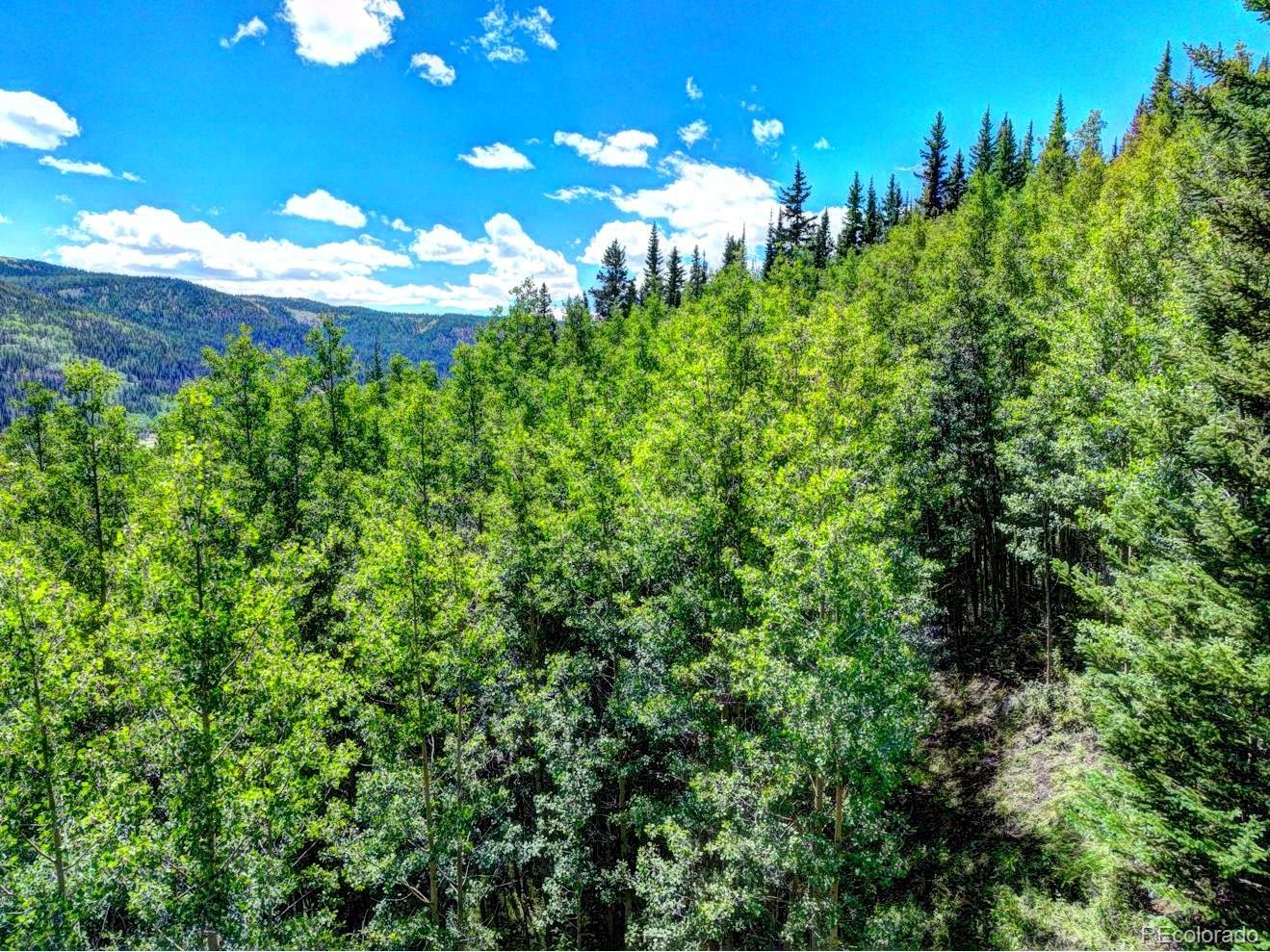 777 Roberts Road Alma, CO 80420 - Photo 10 of 40 Gallery Image 10