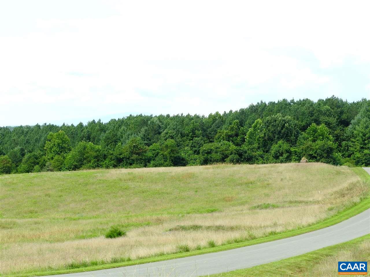 1 Guildford Farm Road Ruckersville, VA 22968 - Photo 5 of 5 a view of outdoor space and yard