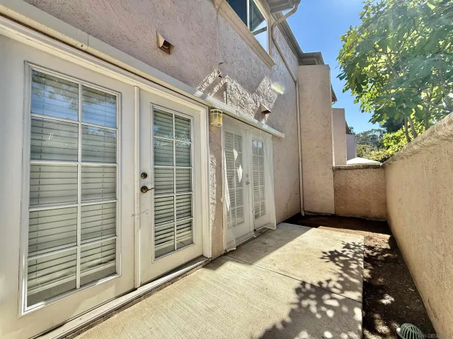 a view of a garden with plants