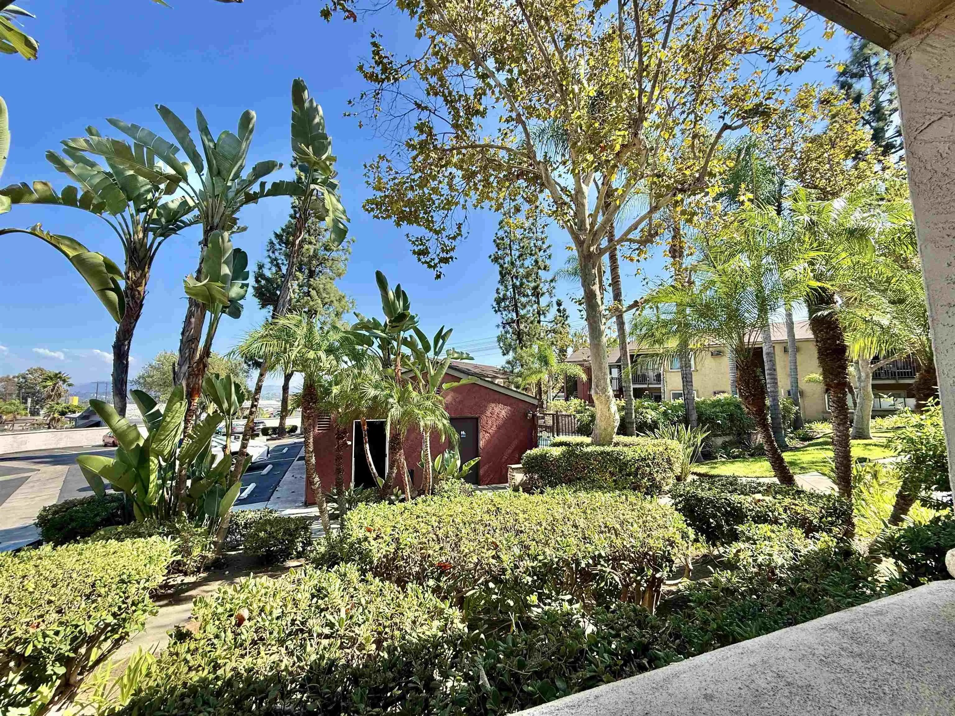 1280 West Main Street, Unit 3 El Cajon, CA 92020 - Photo 21 of 29 a view of a garden with plants