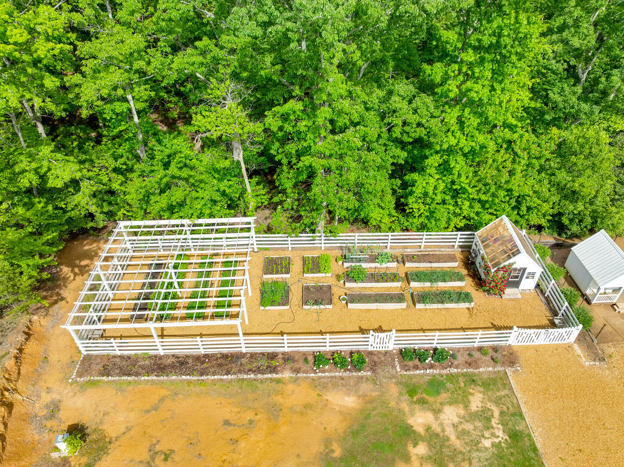 524 Payne Chapel Road Lookout Mountain, GA 30750 - Photo 53 of 61 Garden