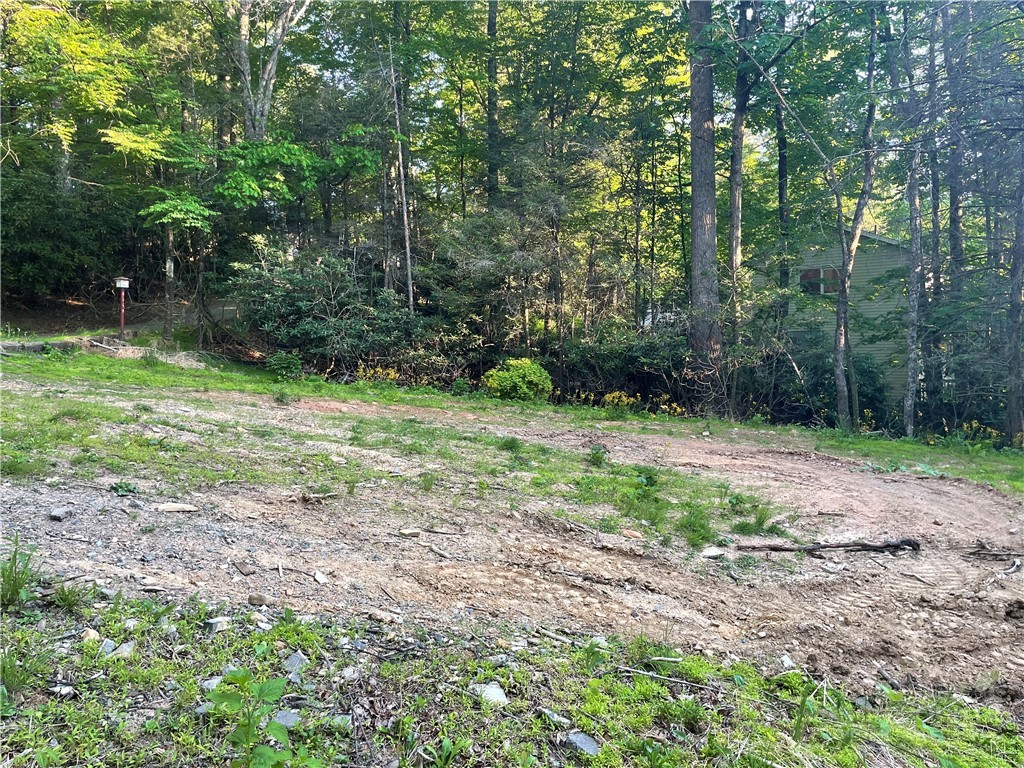 156 Dragonfly Lane Boone, NC 28607 - Photo 4 of 6