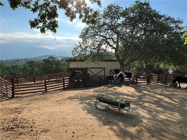 a view of a wooden bench with trees in the background
