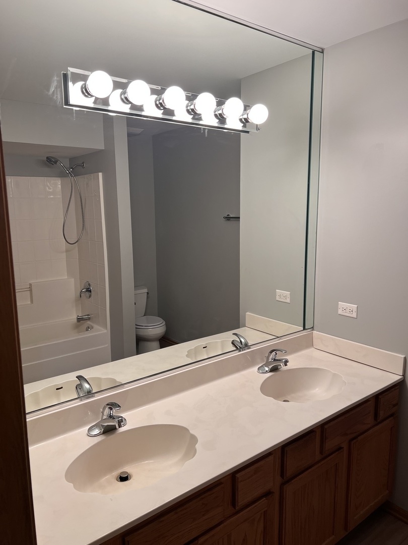 25838 Geranium Lane Monee, IL 60449 - Photo 11 of 21 a bathroom with a sink vanity and a mirror