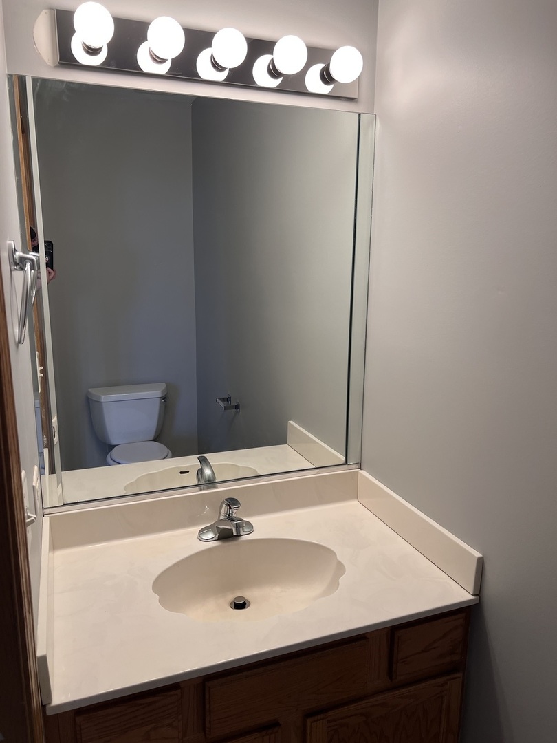 25838 Geranium Lane Monee, IL 60449 - Photo 7 of 21 a bathroom with a sink and mirror