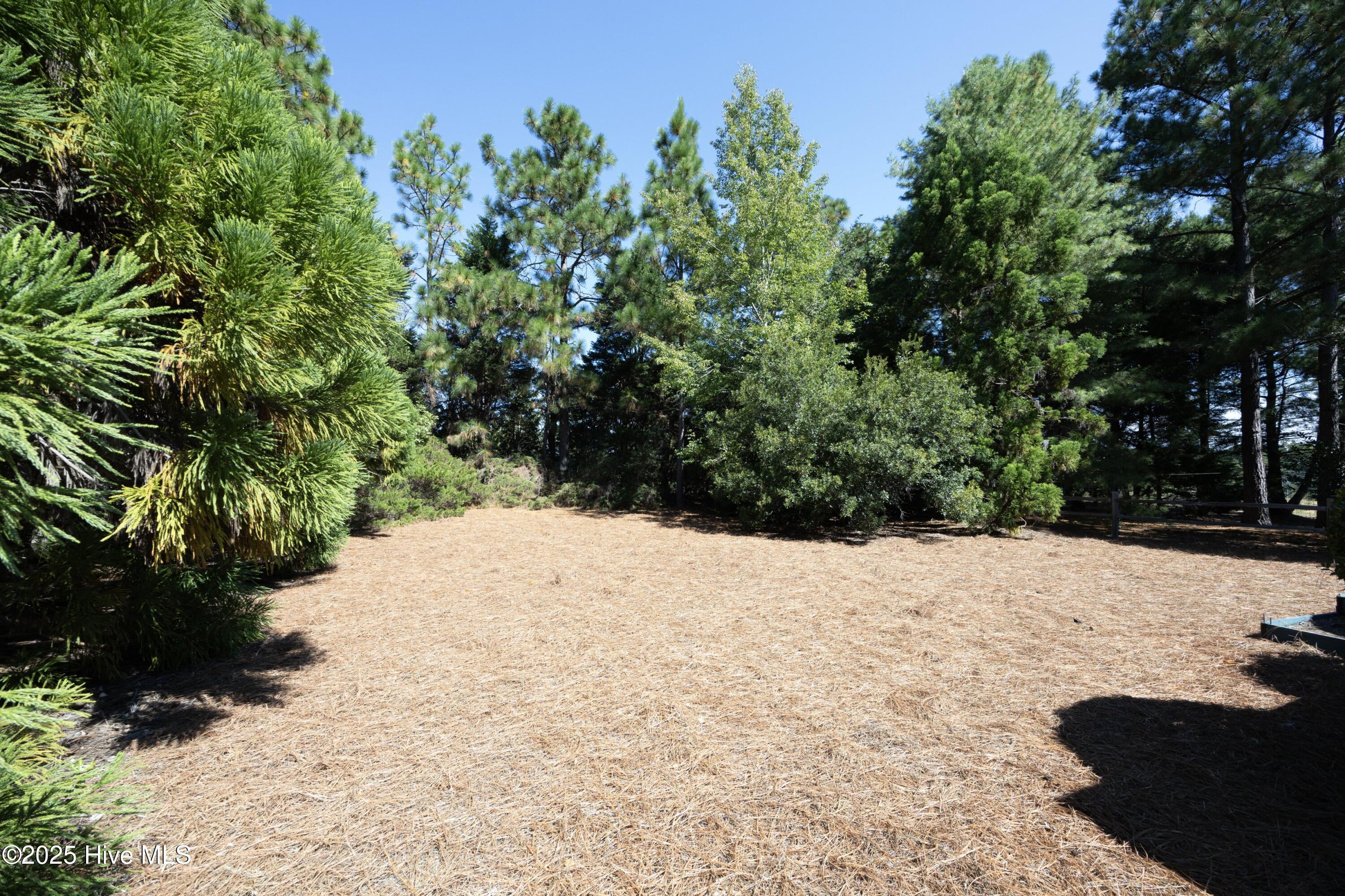 55 McQueen Road Pinehurst, NC 28374 - Photo 40 of 45 37BackYard