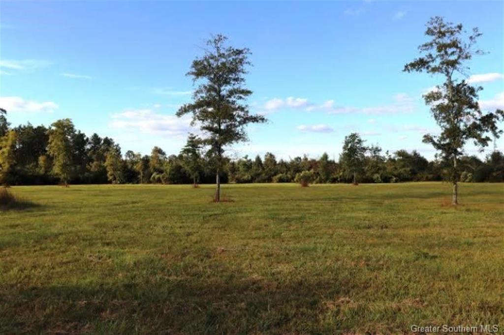 0 Jack Nelson Tract 2 Road Deridder, LA 70634 - Photo 1 of 1