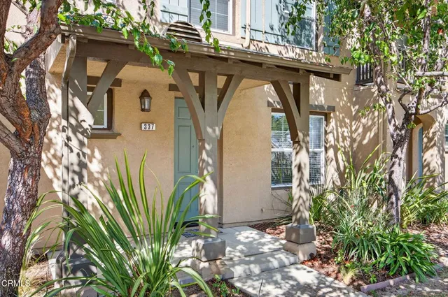 a view of a room with wooden floor and a potted plant