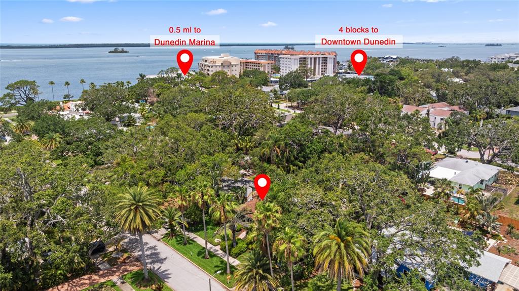 250 Aberdeen Street Dunedin, FL 34698 - Photo 35 of 45