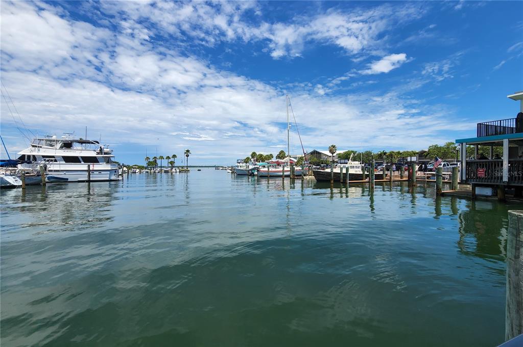 250 Aberdeen Street Dunedin, FL 34698 - Photo 37 of 45