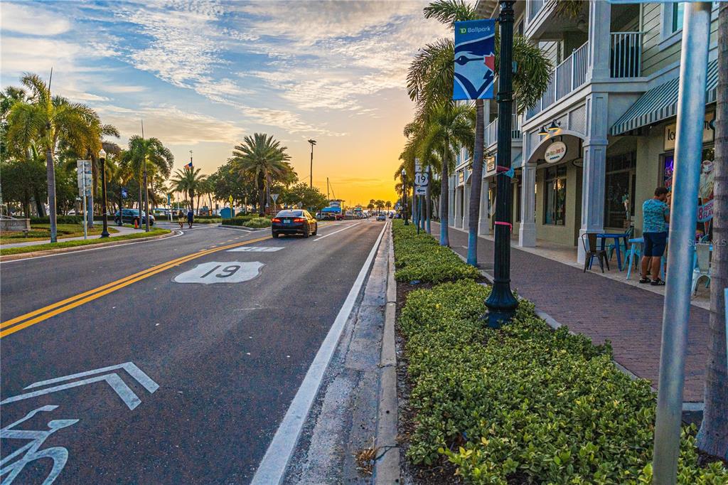 250 Aberdeen Street Dunedin, FL 34698 - Photo 38 of 45