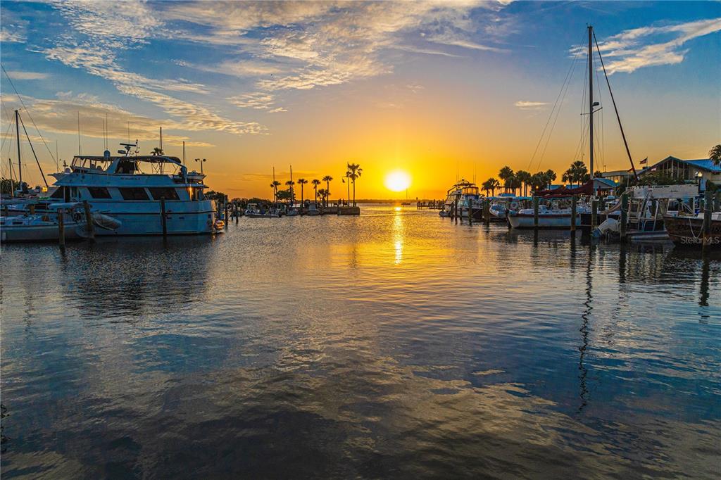 250 Aberdeen Street Dunedin, FL 34698 - Photo 44 of 45