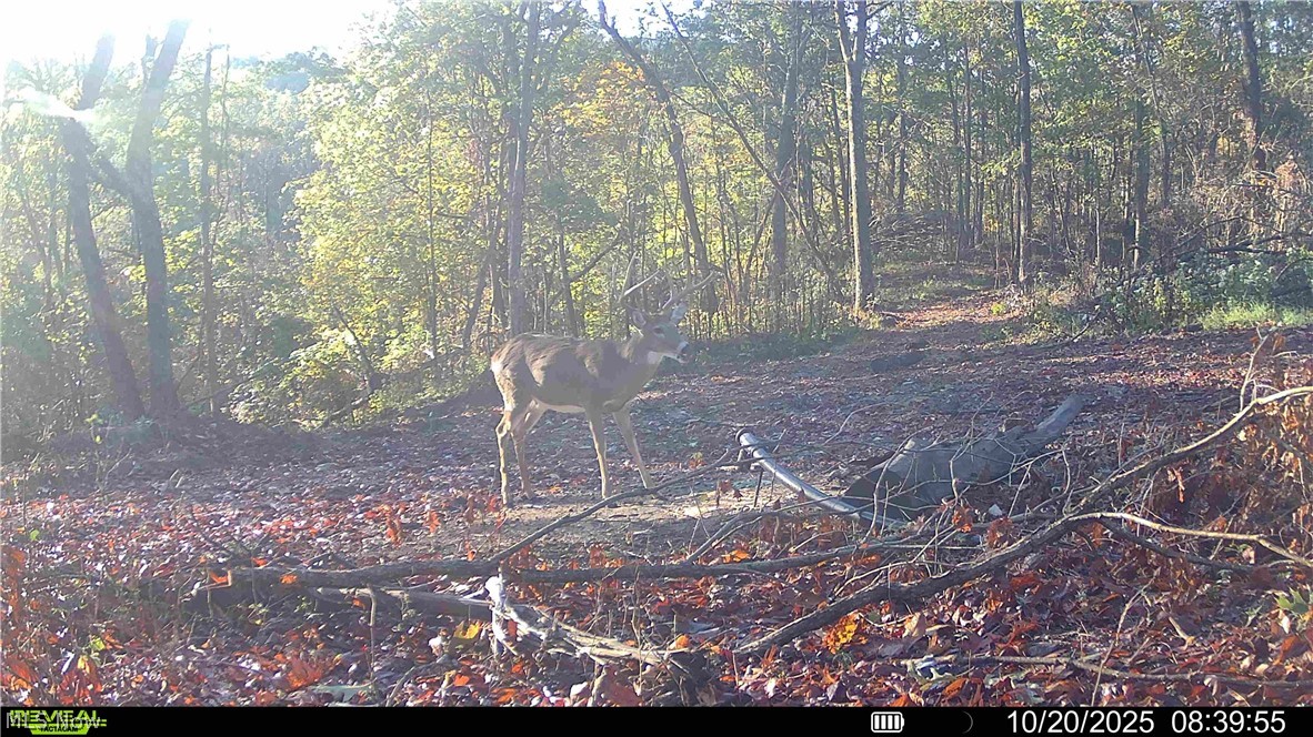 Hill Road Portsmouth, OH 45662 - Photo 29 of 47