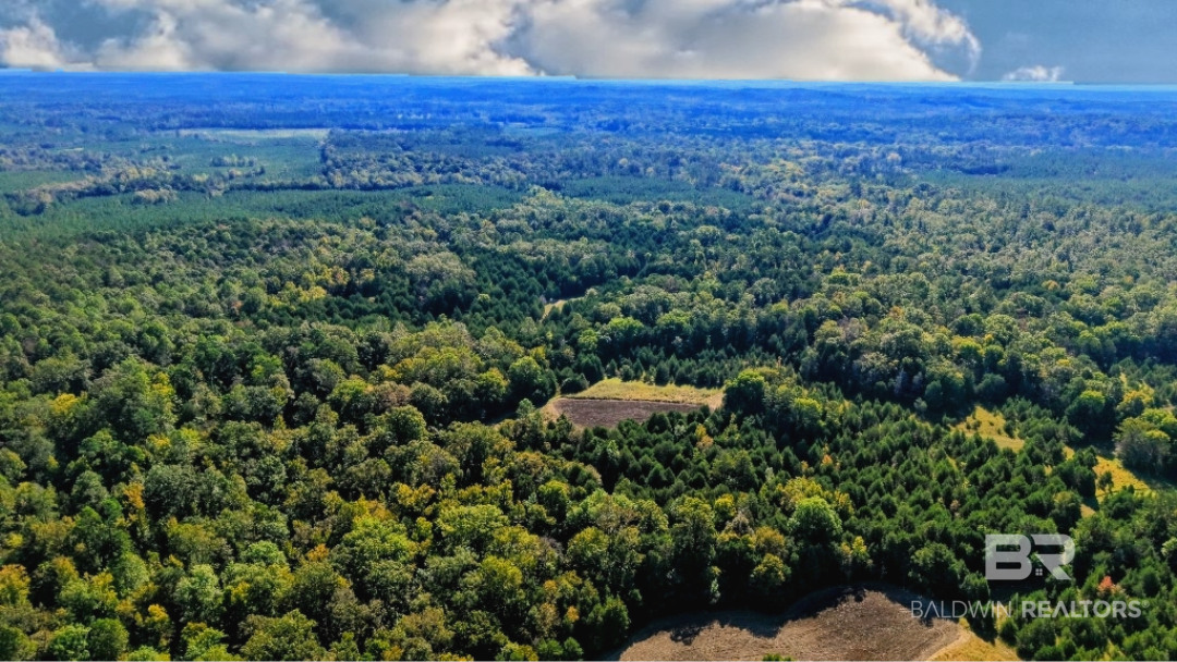 0 Highway 17 Millry, AL 36558 - Photo 69 of 73 Gallery Image 69