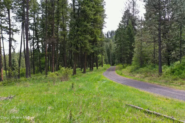 $549,000 | 673 Neighbors Lane, Orofino, ID 83544