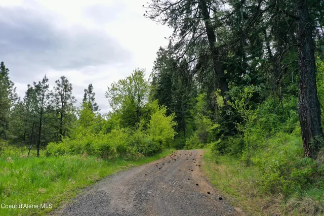 $549,000 | 673 Neighbors Lane, Orofino, ID 83544