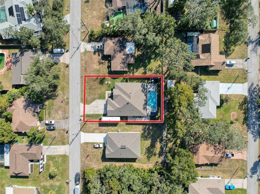 237 Leafy Way Avenue Spring Hill, FL 34606 - Photo 67 of 68